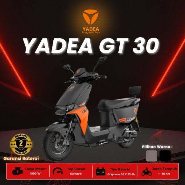 GT30 - Image 4