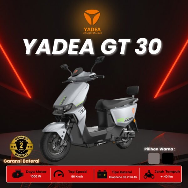 GT30 - Image 5